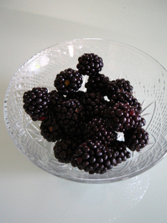 blackberry4.jpg