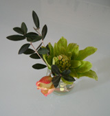 garden130223.jpg
