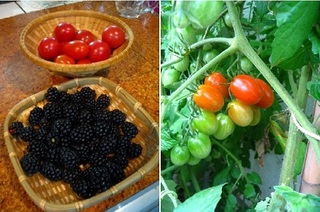 garden21040717e2.jpg