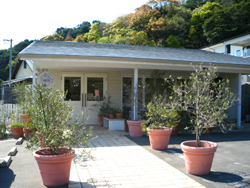 sanpo140406b.jpg